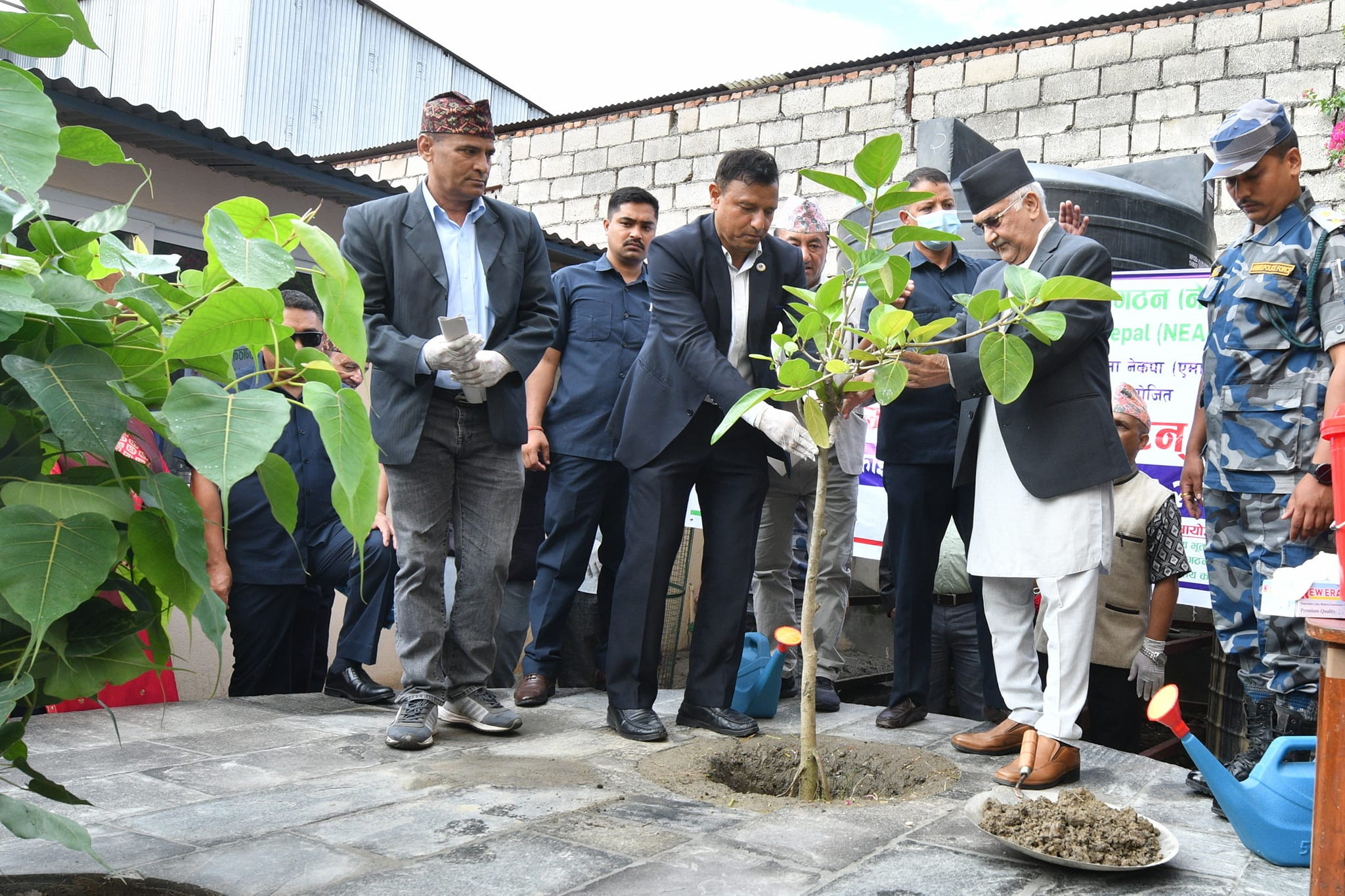 मदन भण्डारीलाई सम्झँदै ओलीले रोपे रुख